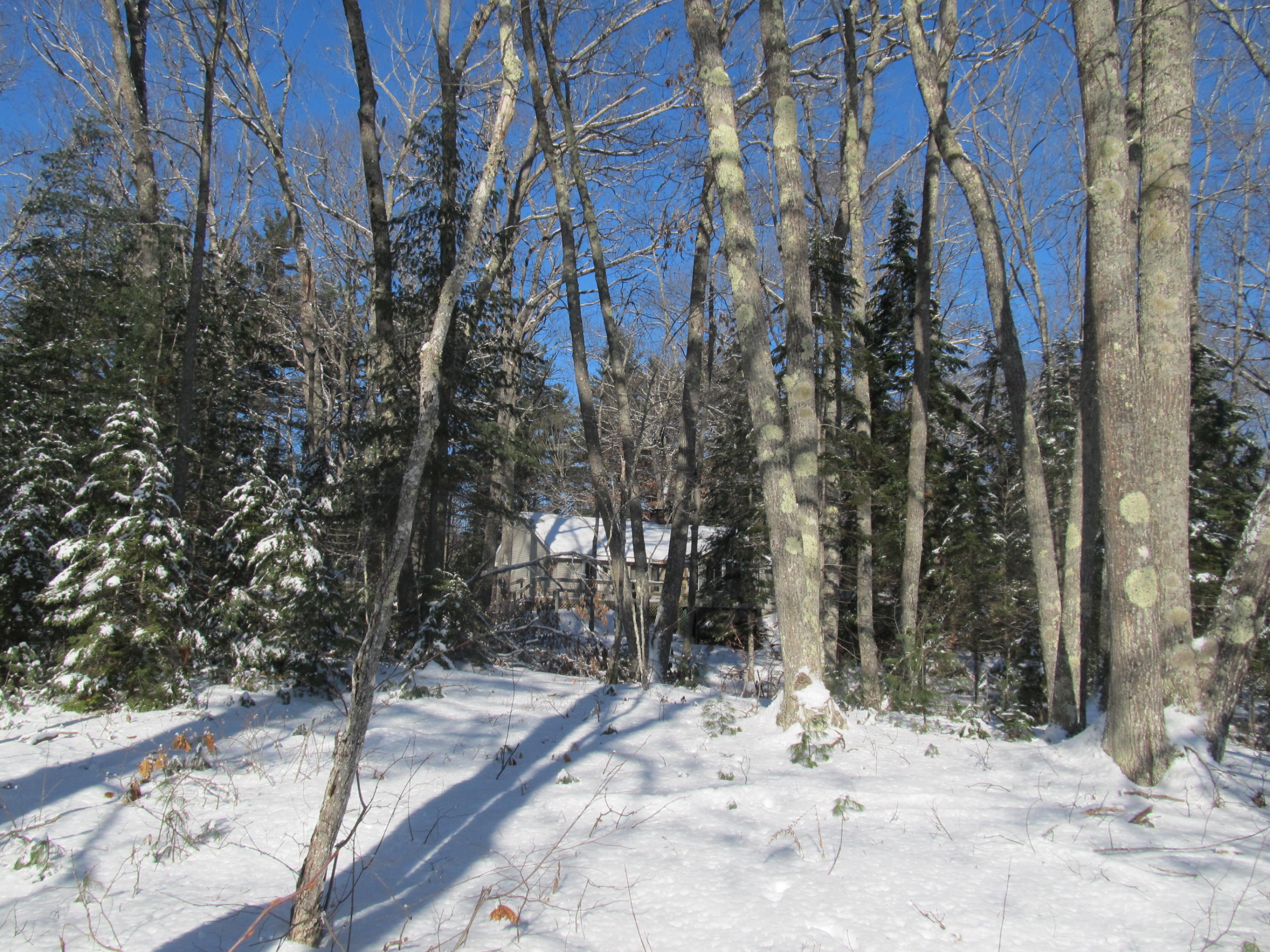 2250 Edinburg Road Old Town, ME 04468 - Photo 11 of 45 IMG_6748