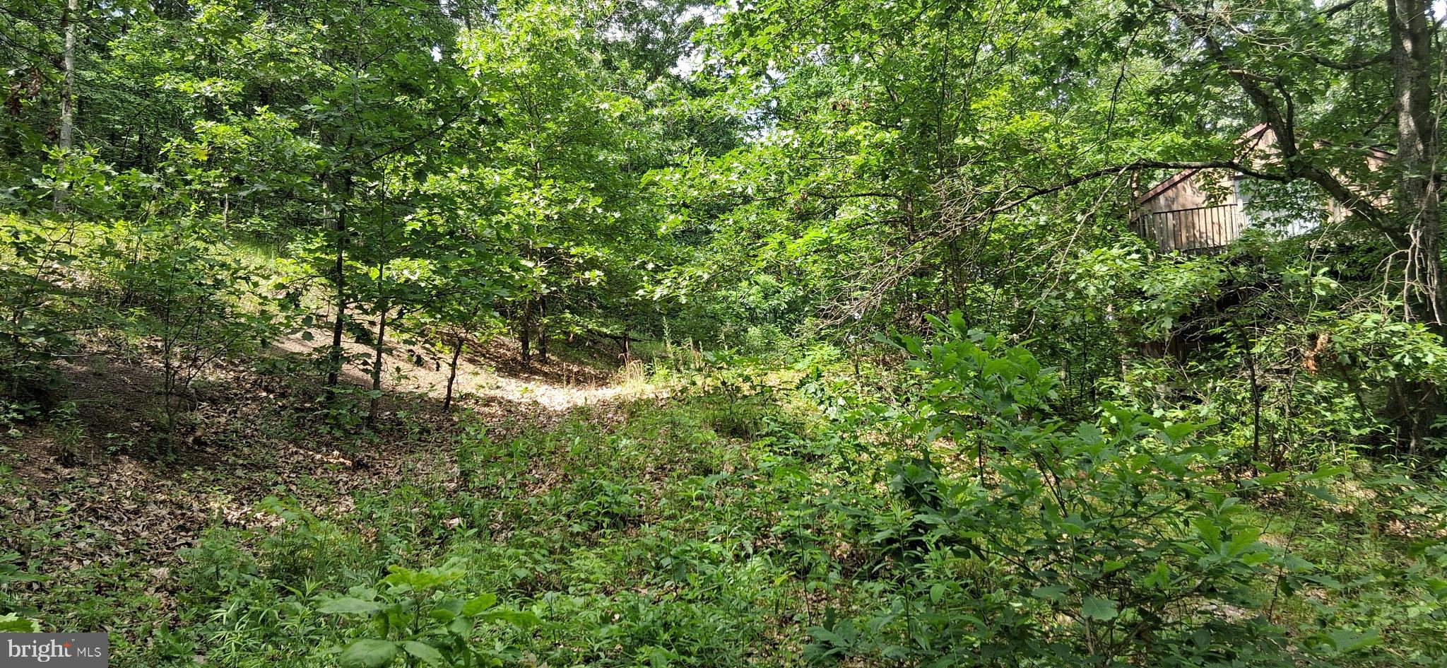 234 Coastline Road Clearville, PA 15535 - Photo 12 of 39