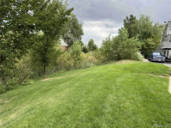 a view of a yard with a car parked in the forest