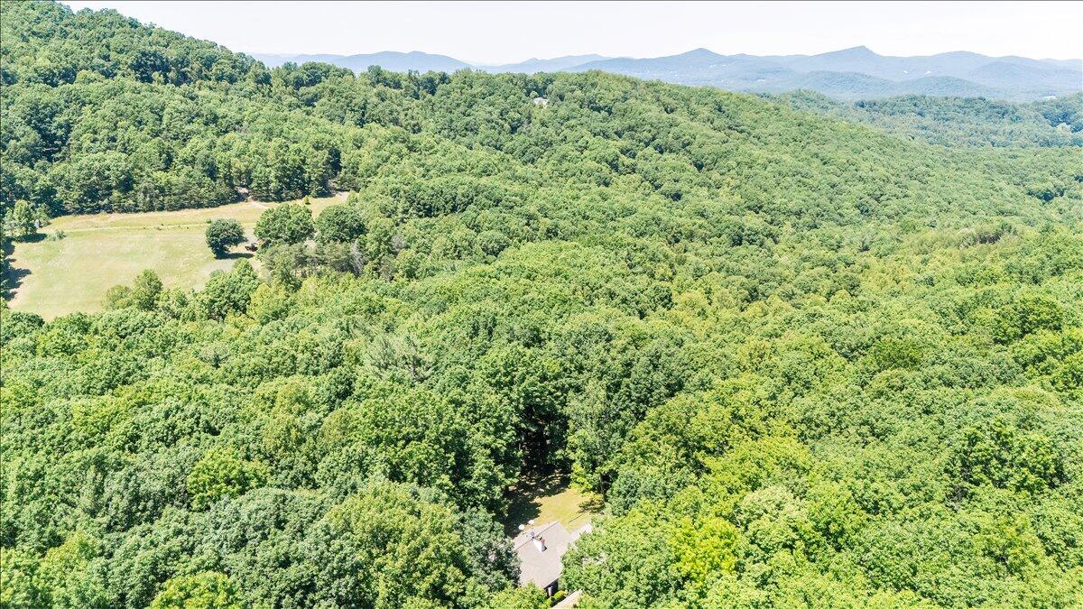 375 Silver Shadow Road Hardy, VA 24101 - Photo 46 of 47 73-DJI_20260604142407_0030_D