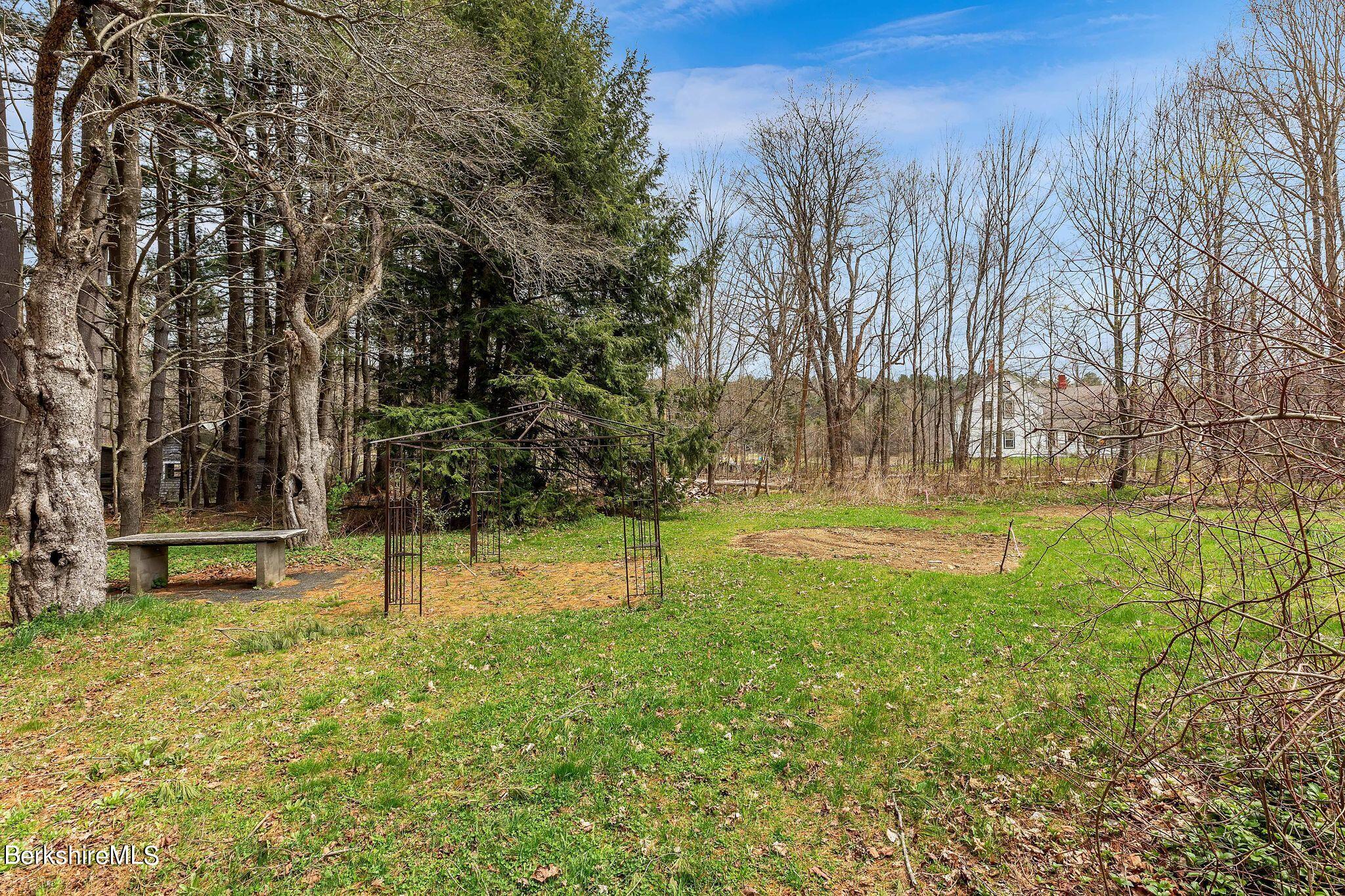 365 South Washington State Road Washington, MA 01223 - Photo 41 of 43 a view of yard with tree