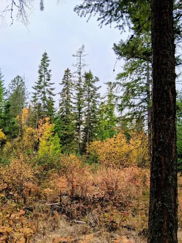 $150,000 | 706 McCammon Drive, Elk, WA 99009