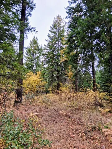 $150,000 | 706 McCammon Drive, Elk, WA 99009