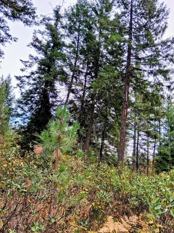 $150,000 | 706 McCammon Drive, Elk, WA 99009