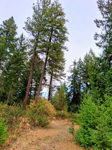 $150,000 | 706 McCammon Drive, Elk, WA 99009