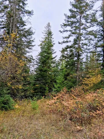 $150,000 | 706 McCammon Drive, Elk, WA 99009