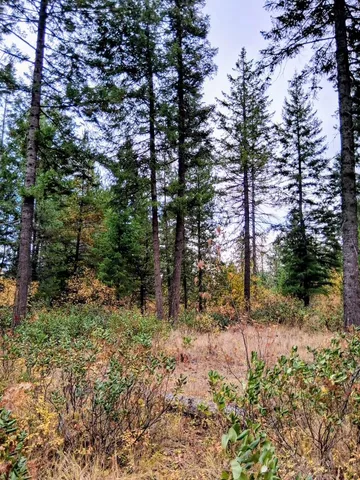 $150,000 | 706 McCammon Drive, Elk, WA 99009