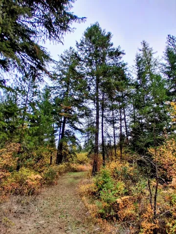 $150,000 | 706 McCammon Drive, Elk, WA 99009