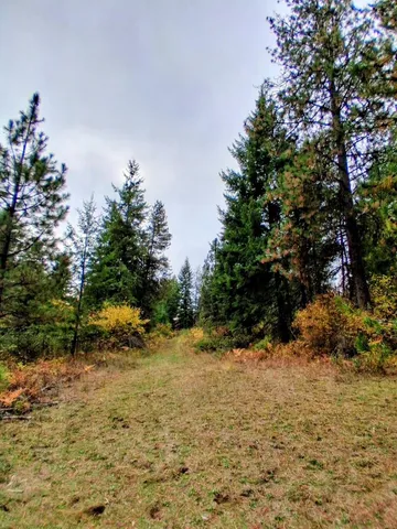 $150,000 | 706 McCammon Drive, Elk, WA 99009