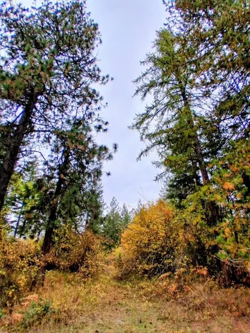 $150,000 | 706 McCammon Drive, Elk, WA 99009