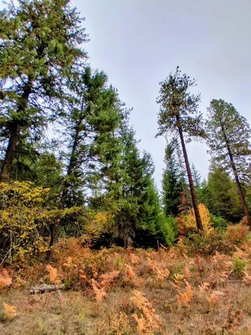 $150,000 | 706 McCammon Drive, Elk, WA 99009