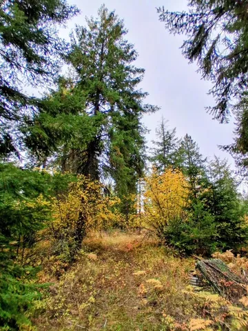 $150,000 | 706 McCammon Drive, Elk, WA 99009