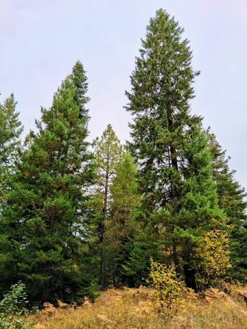 $150,000 | 706 McCammon Drive, Elk, WA 99009