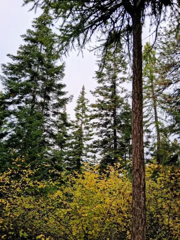 $150,000 | 706 McCammon Drive, Elk, WA 99009