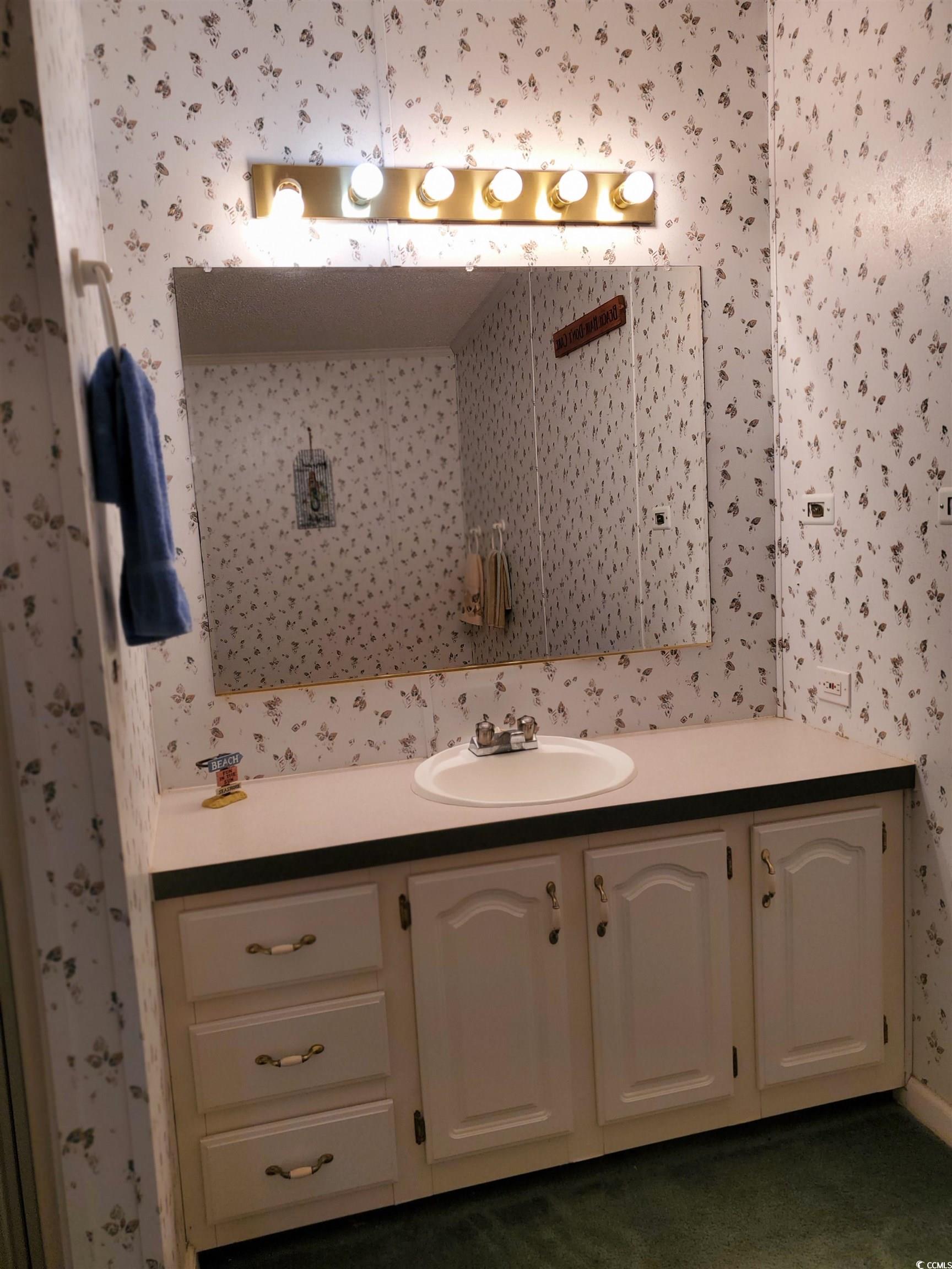 441 Delton Drive Murrells Inlet, SC 29576 - Photo 25 of 30 Bathroom with vanity