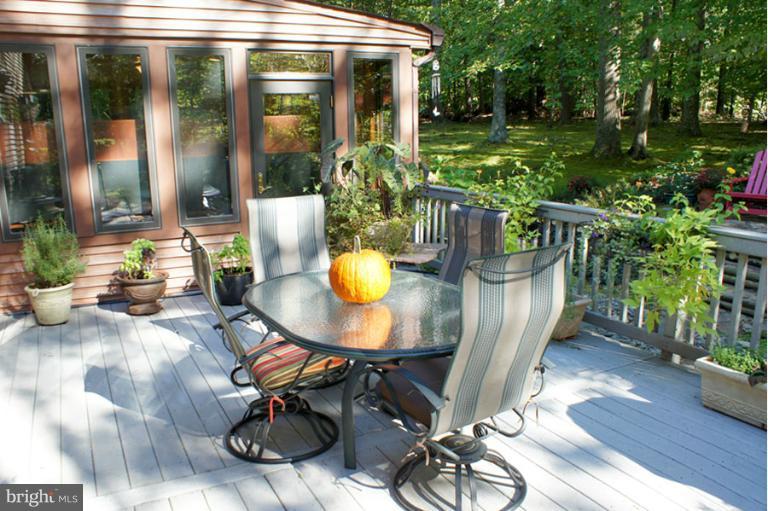 2265 Mt Tabor Road Gambrills, MD 21054 - Photo 28 of 30 Relaxation and Entertainment Deck