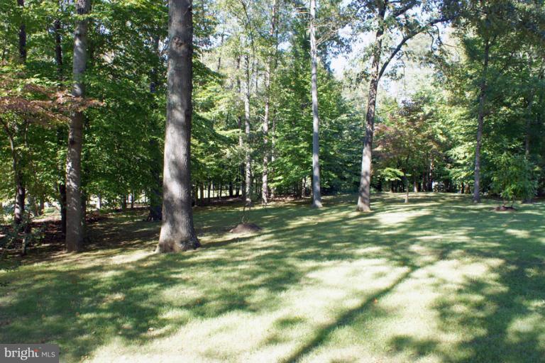 2265 Mt Tabor Road Gambrills, MD 21054 - Photo 30 of 30 Verdant Yard with Lofty Shade Trees
