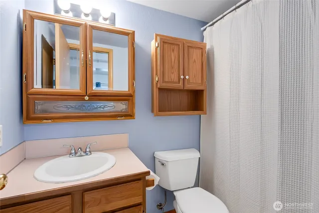 a bathroom with a sink and a toilet
