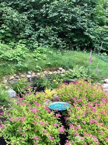 a close up of a flower in a garden