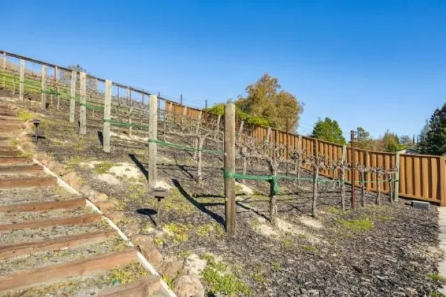 $3,895,000 | 387 Golden Grass Drive, Alamo, CA 94507