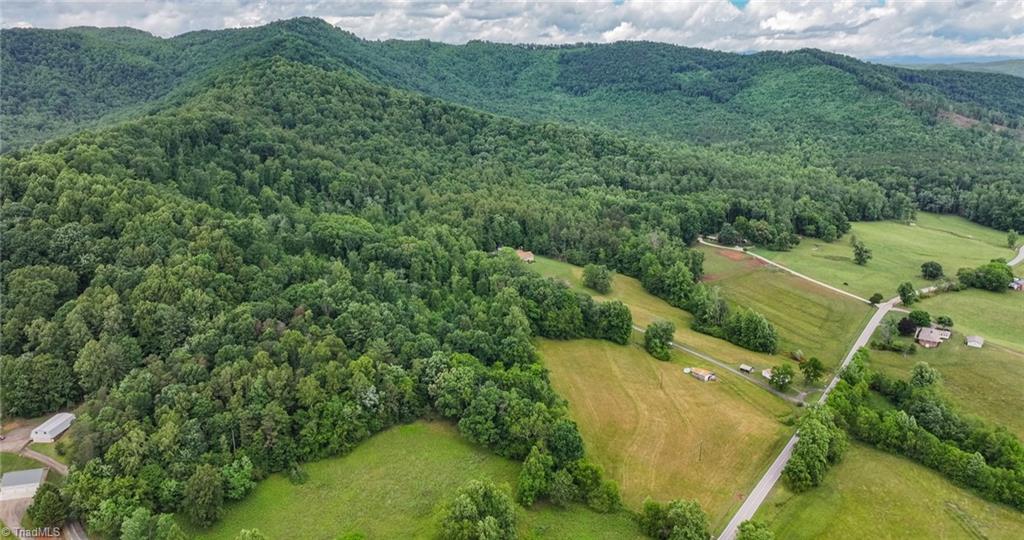 Tbd Shingle Gap Road Purlear, NC 28665 - Photo 18 of 20