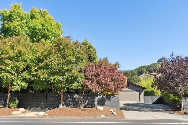 a street view with large trees