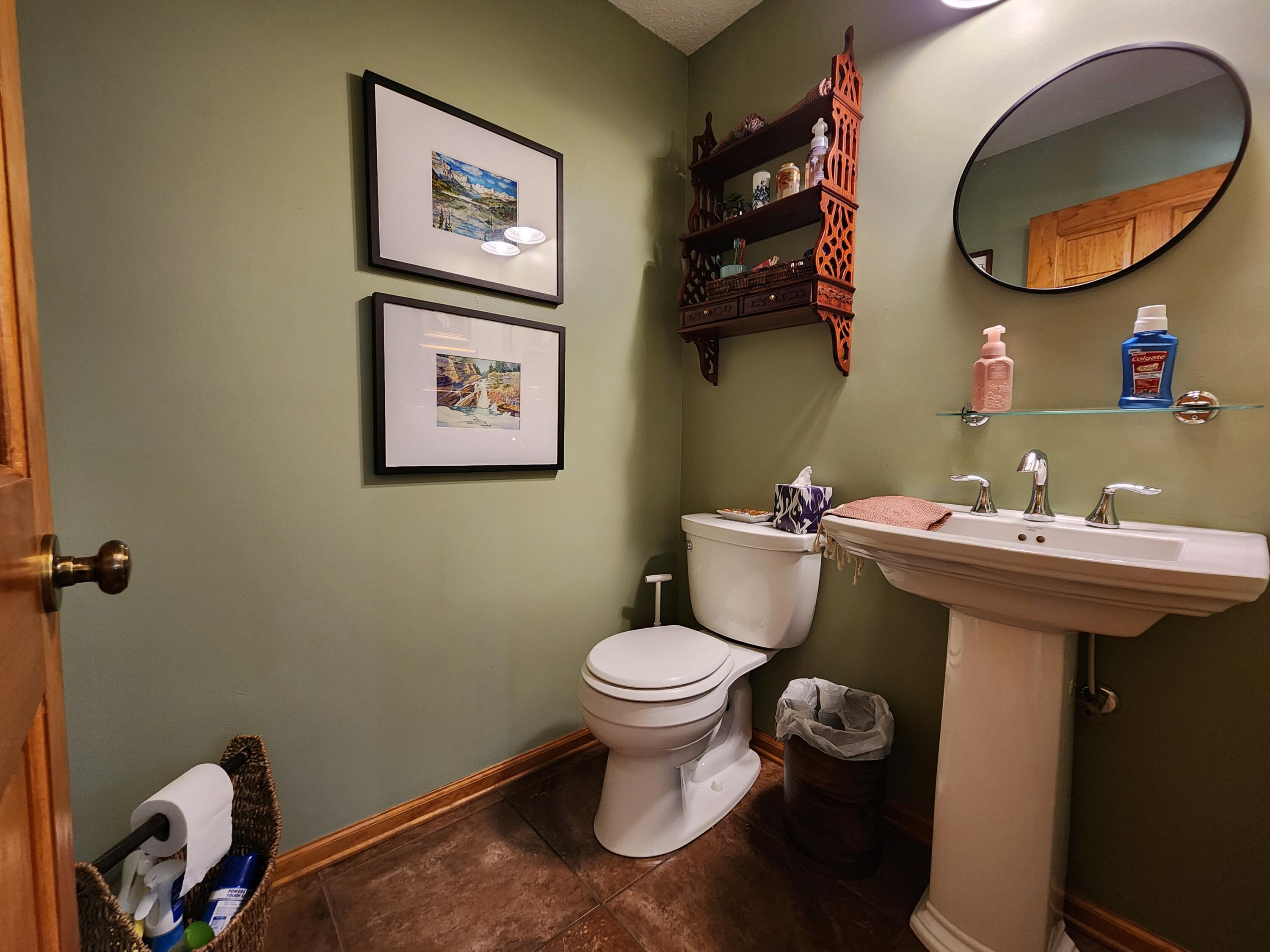 1199 Muse Field Road Rocky Mount, VA 24151 - Photo 17 of 41 a bathroom with a toilet a sink and a mirror