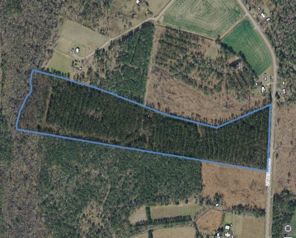Lot Tr Little Lamb Road Conway, SC 29527 - Photo 1 of 2 Gallery Image 1