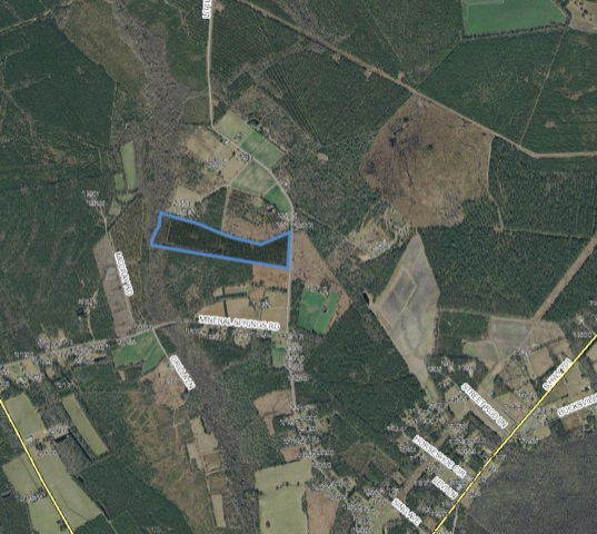 Lot Tr Little Lamb Road Conway, SC 29527 - Photo 2 of 2 Gallery Image 2