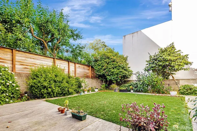 a view of a garden with plants and large trees