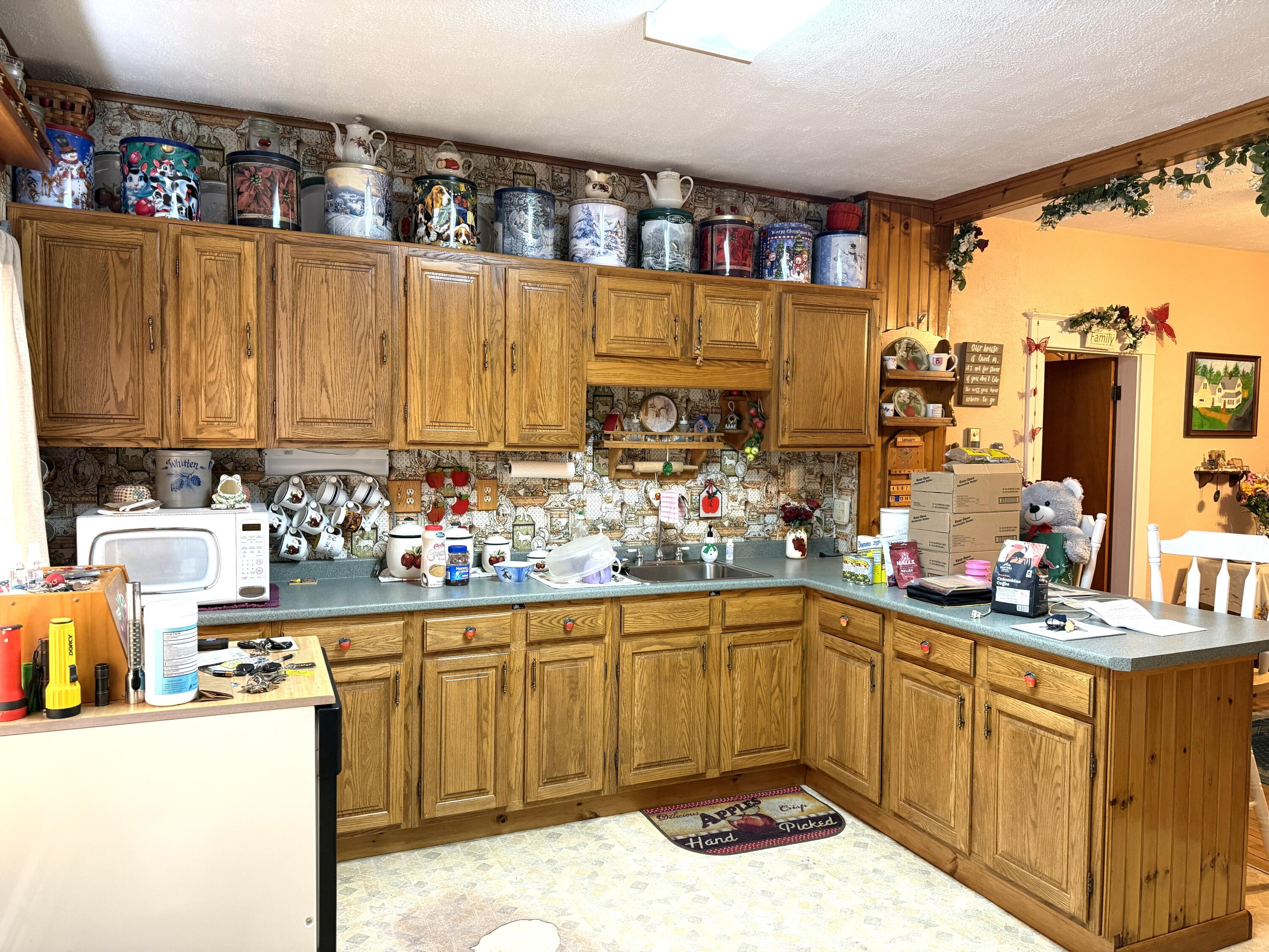 47 Elm Street Milo, ME 04463 - Photo 3 of 47 kitchen-1