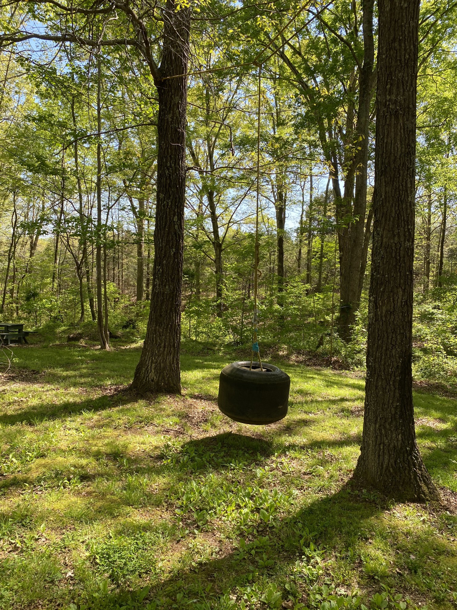 11277 Missionary Ridge Road Bon Aqua, TN 37025 - Photo 23 of 42 a view of a backyard with large tree