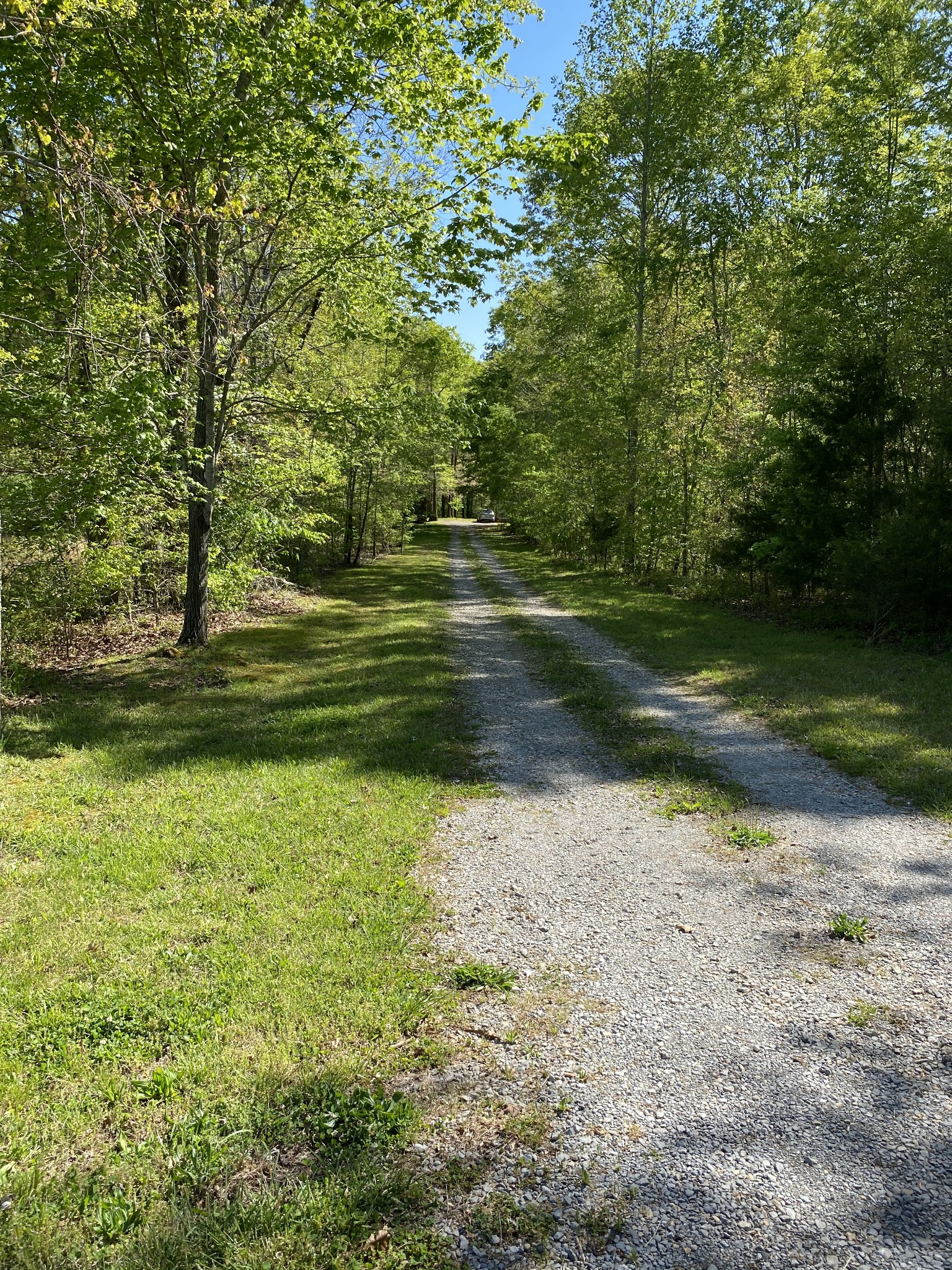 11277 Missionary Ridge Road Bon Aqua, TN 37025 - Photo 4 of 42 a backyard of a house with lots of green space