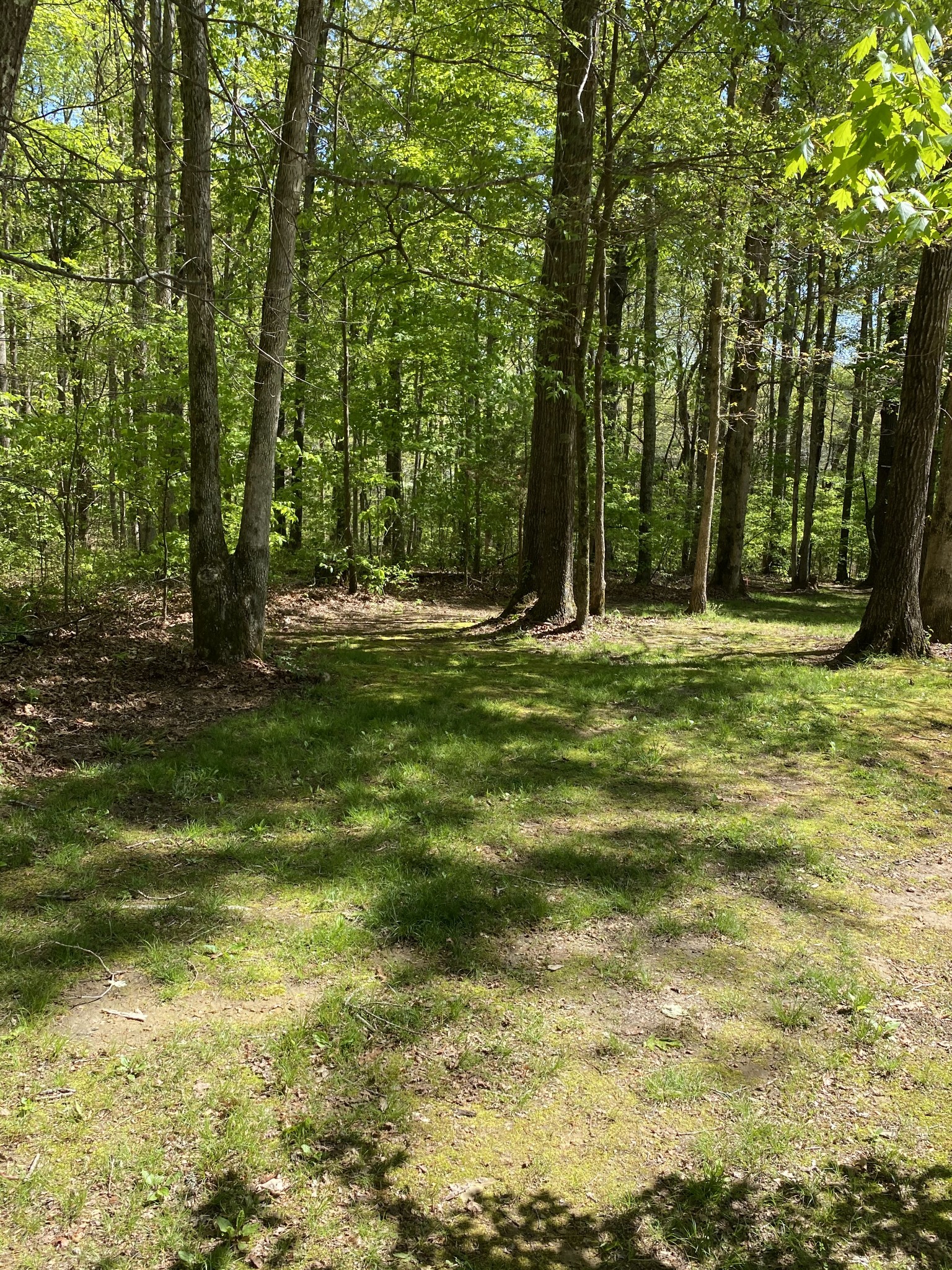 11277 Missionary Ridge Road Bon Aqua, TN 37025 - Photo 33 of 42 a big yard with trees in the background