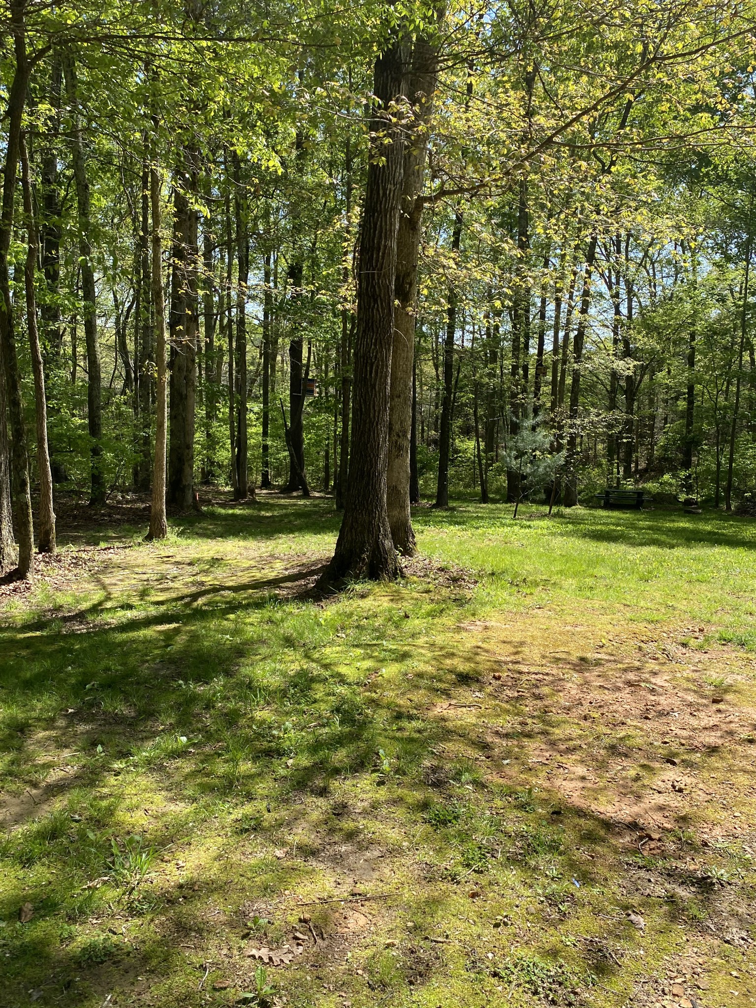 11277 Missionary Ridge Road Bon Aqua, TN 37025 - Photo 34 of 42 a view of a field with a tree