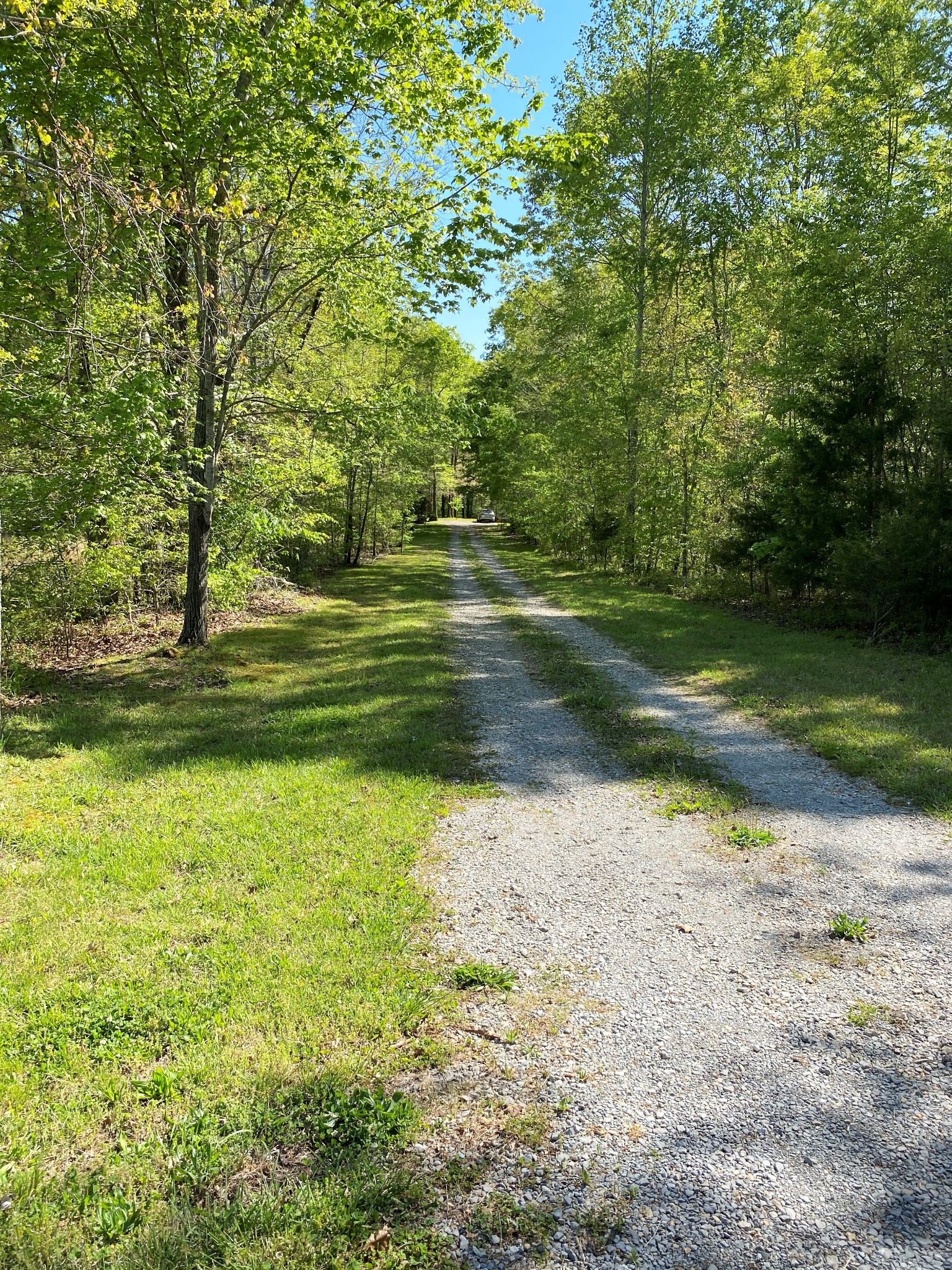11277 Missionary Ridge Road Bon Aqua, TN 37025 - Photo 41 of 42 a backyard of a house with lots of green space