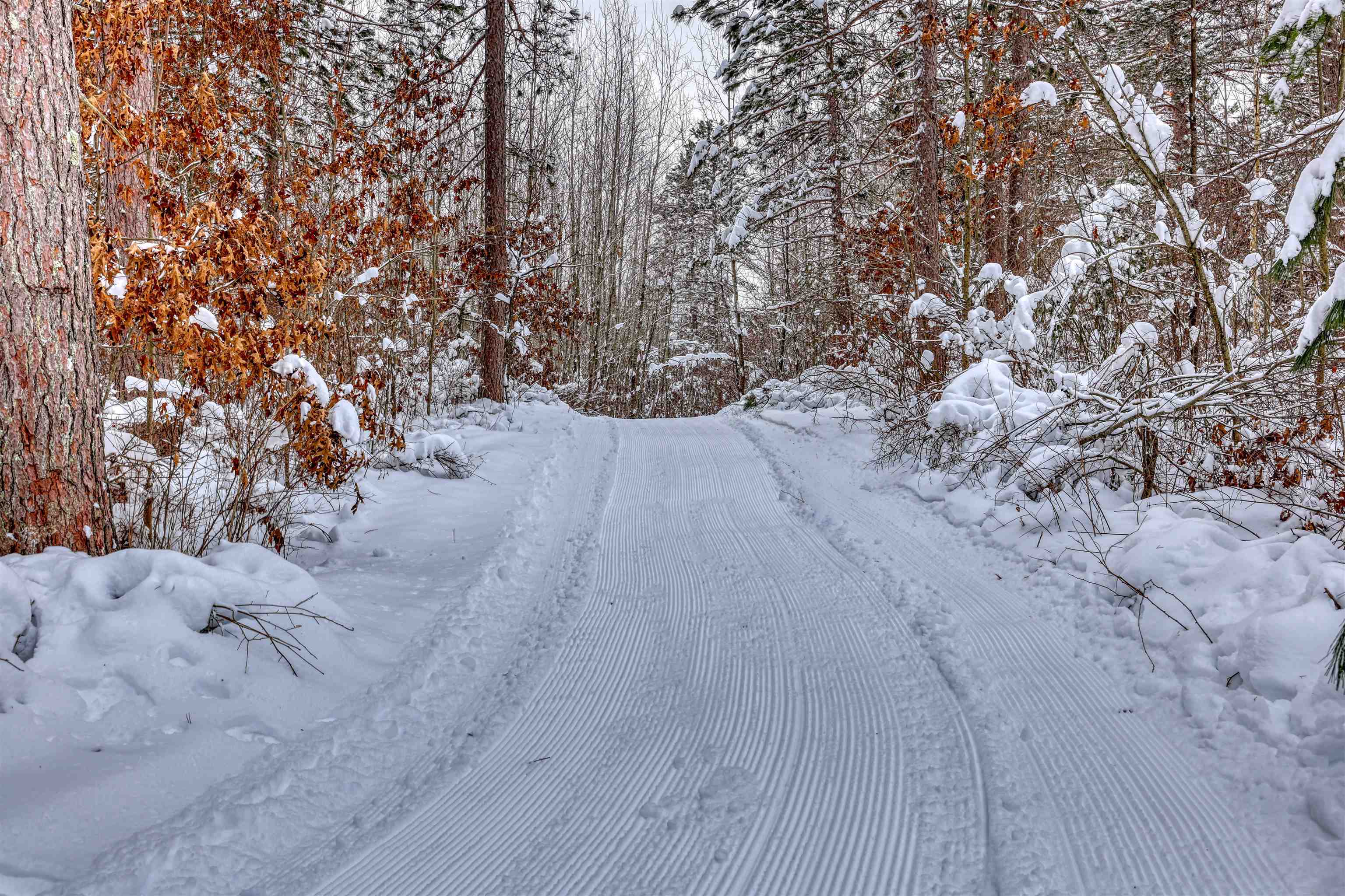 8056 North North Road Springbrook, WI 54875 - Photo 41 of 65 View of street