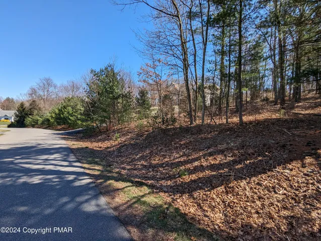 a view of road with trees