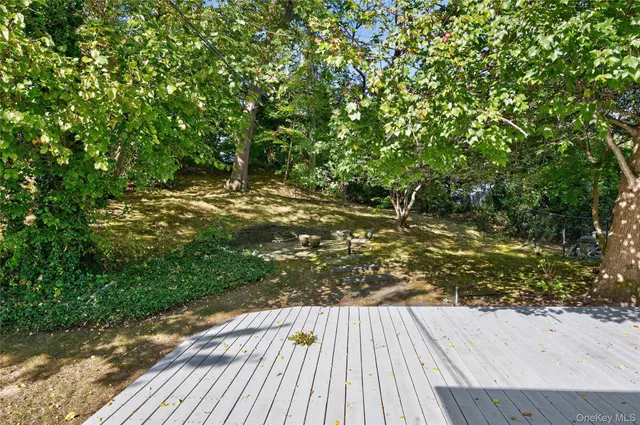 a view of a tree in a yard