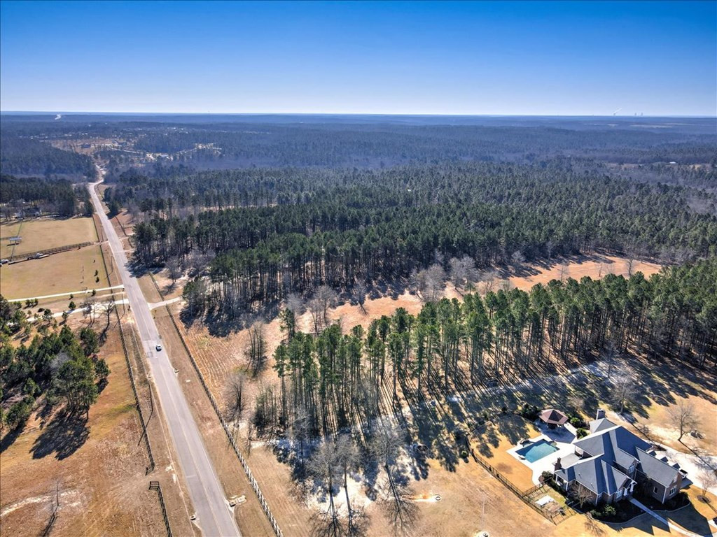Lot19 Anderson Pond Road Aiken, SC 29803 - Photo 6 of 9 Gallery Image 6