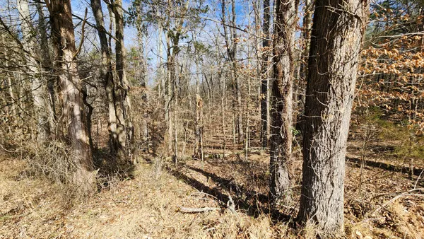 $275,000 | 0 Simmons Cemetery Road, Quebeck, TN 38579