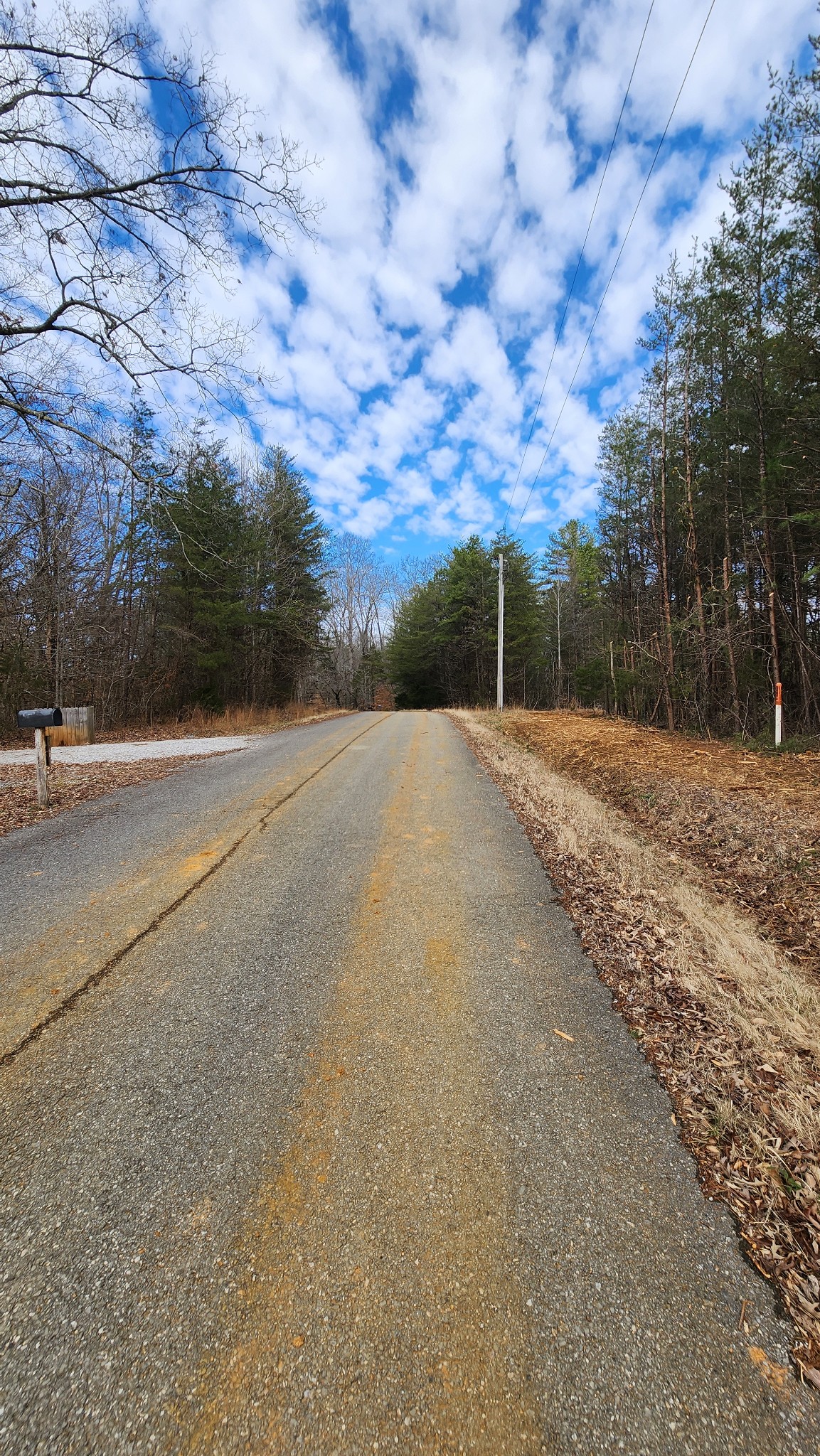 0 Simmons Cemetery Road Quebeck, TN 38579 - Photo 12 of 23