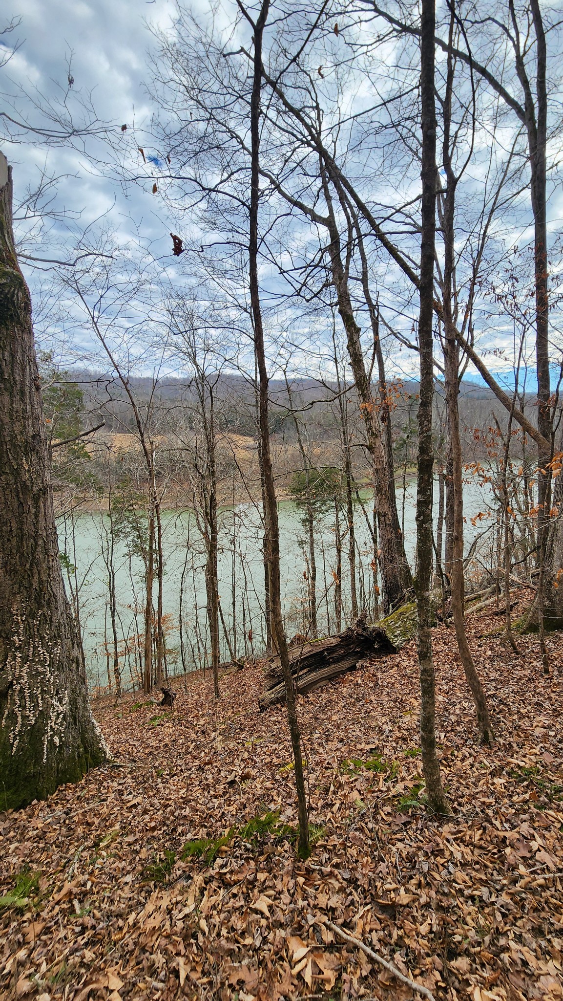 0 Simmons Cemetery Road Quebeck, TN 38579 - Photo 13 of 23