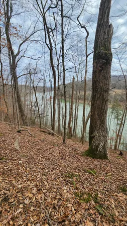 $275,000 | 0 Simmons Cemetery Road, Quebeck, TN 38579