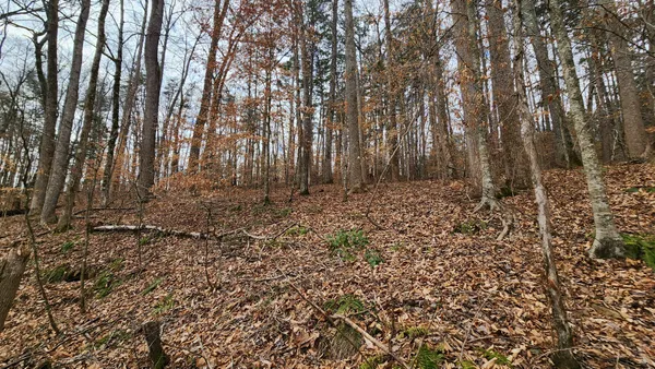 $275,000 | 0 Simmons Cemetery Road, Quebeck, TN 38579