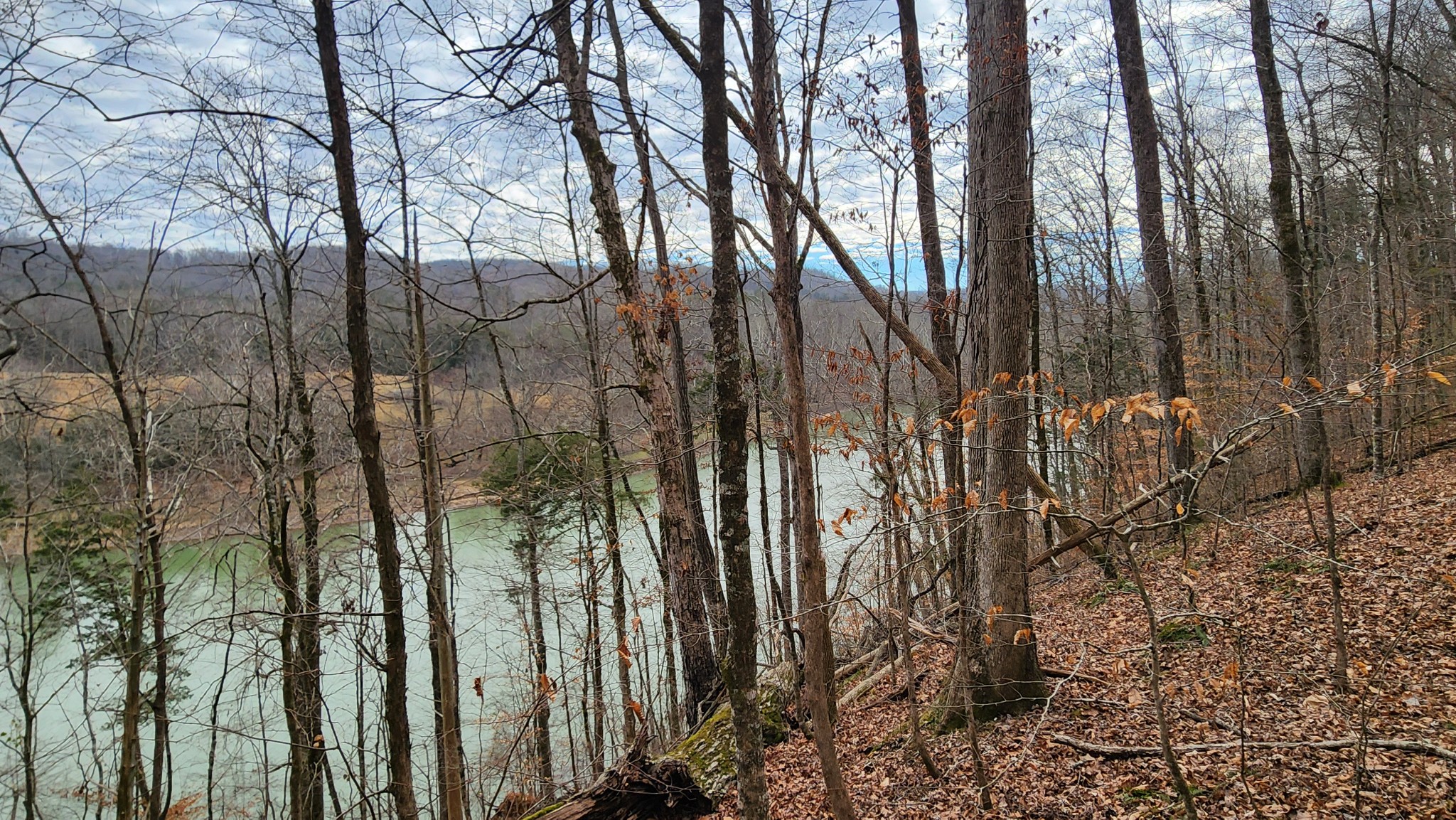 0 Simmons Cemetery Road Quebeck, TN 38579 - Photo 17 of 23