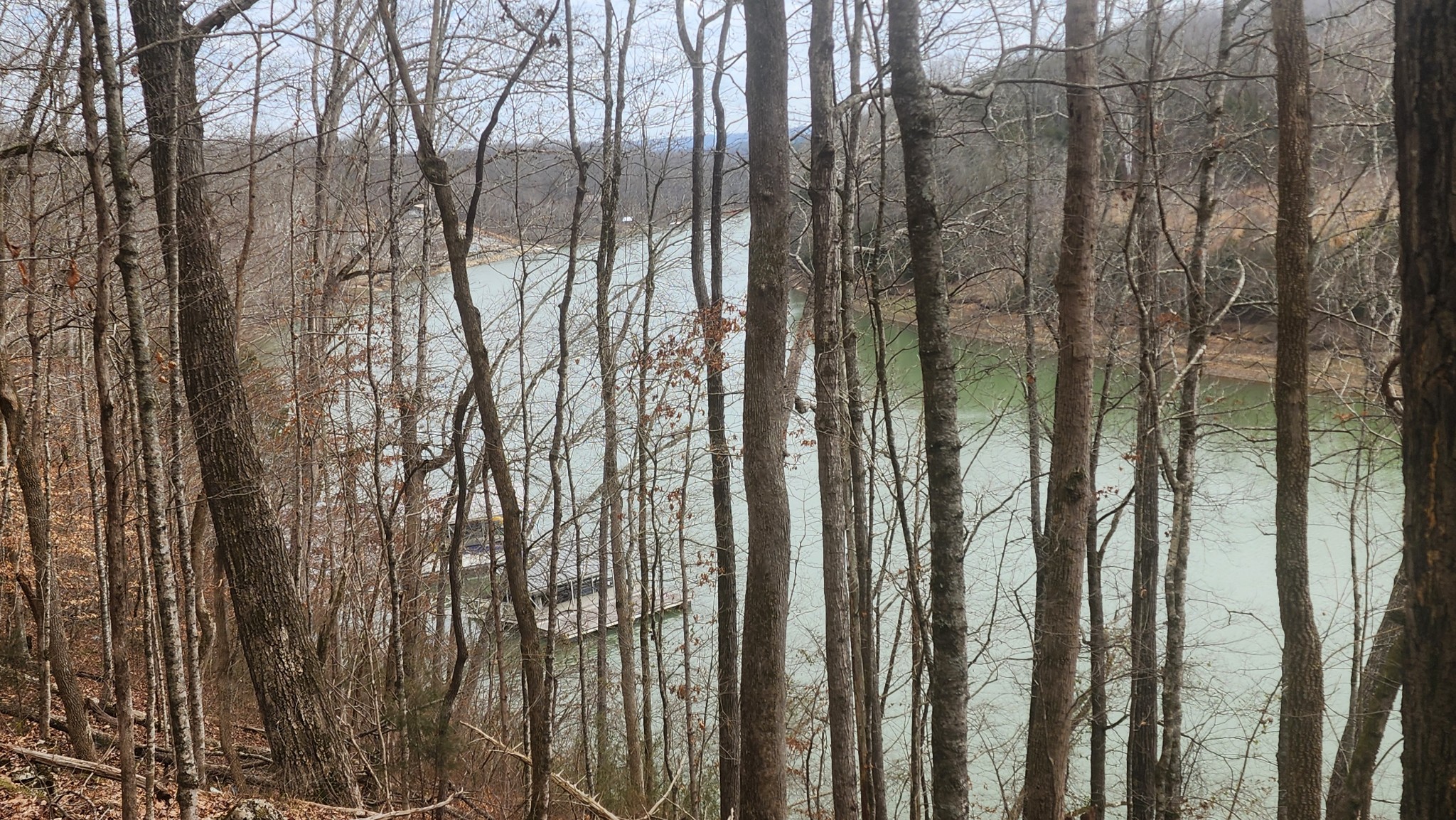 0 Simmons Cemetery Road Quebeck, TN 38579 - Photo 18 of 23