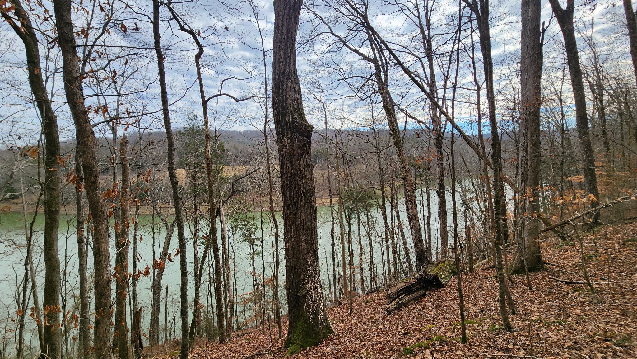 0 Simmons Cemetery Road Quebeck, TN 38579 - Photo 19 of 23