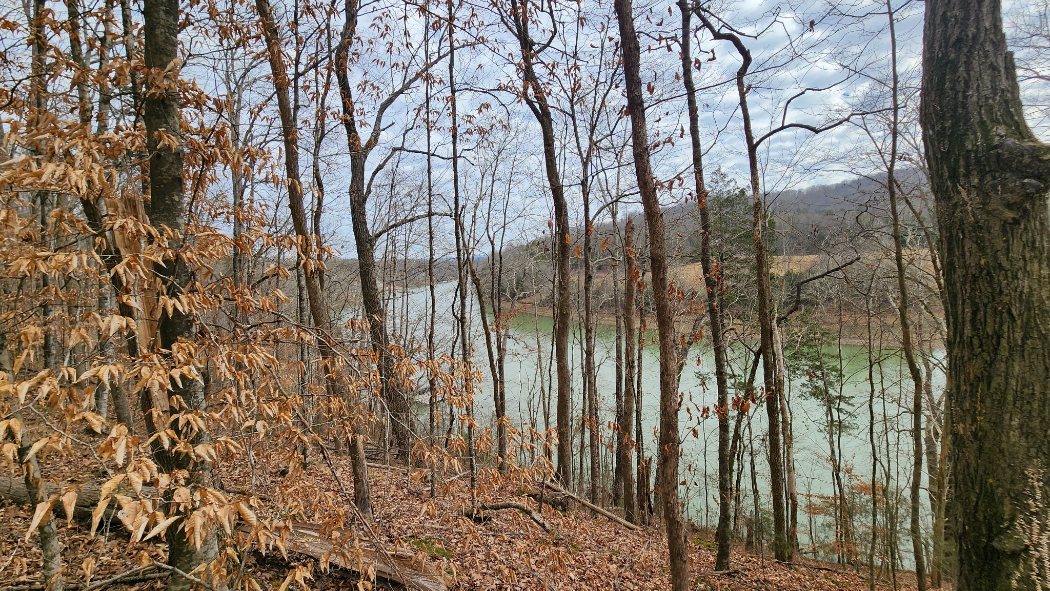 0 Simmons Cemetery Road Quebeck, TN 38579 - Photo 20 of 23