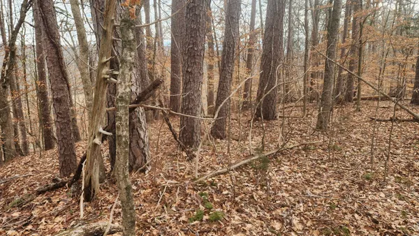 $275,000 | 0 Simmons Cemetery Road, Quebeck, TN 38579